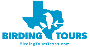 Birding Tours Texas Logo