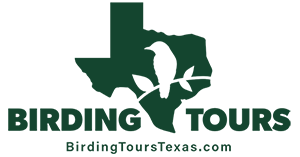 Birding Tours Texas